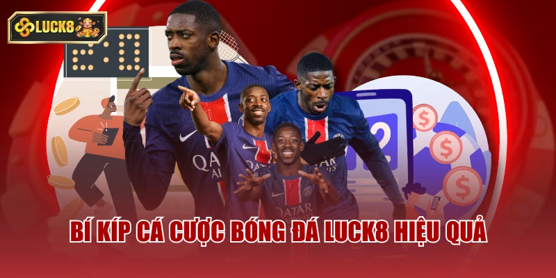 Bí kíp cá cược bóng đá luck8 hiệu quả