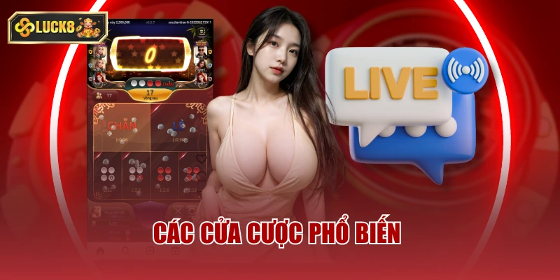 Các cửa cược phổ biến