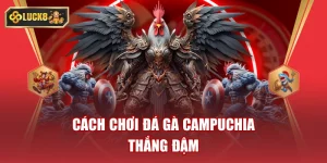 Đá Gà Campuchia Cùng Luck8