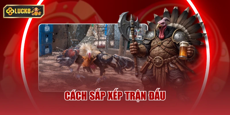Cách sắp xếp trận đấu