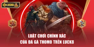 Đá Gà Thomo Trên Luck8