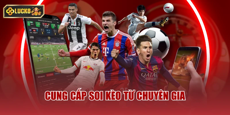 Cung cấp soi kèo từ chuyên gia