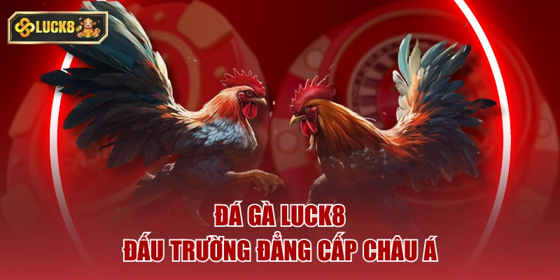 Đá Gà Luck8