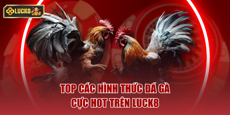 Top các hình thức đá gà cực hot trên luck8